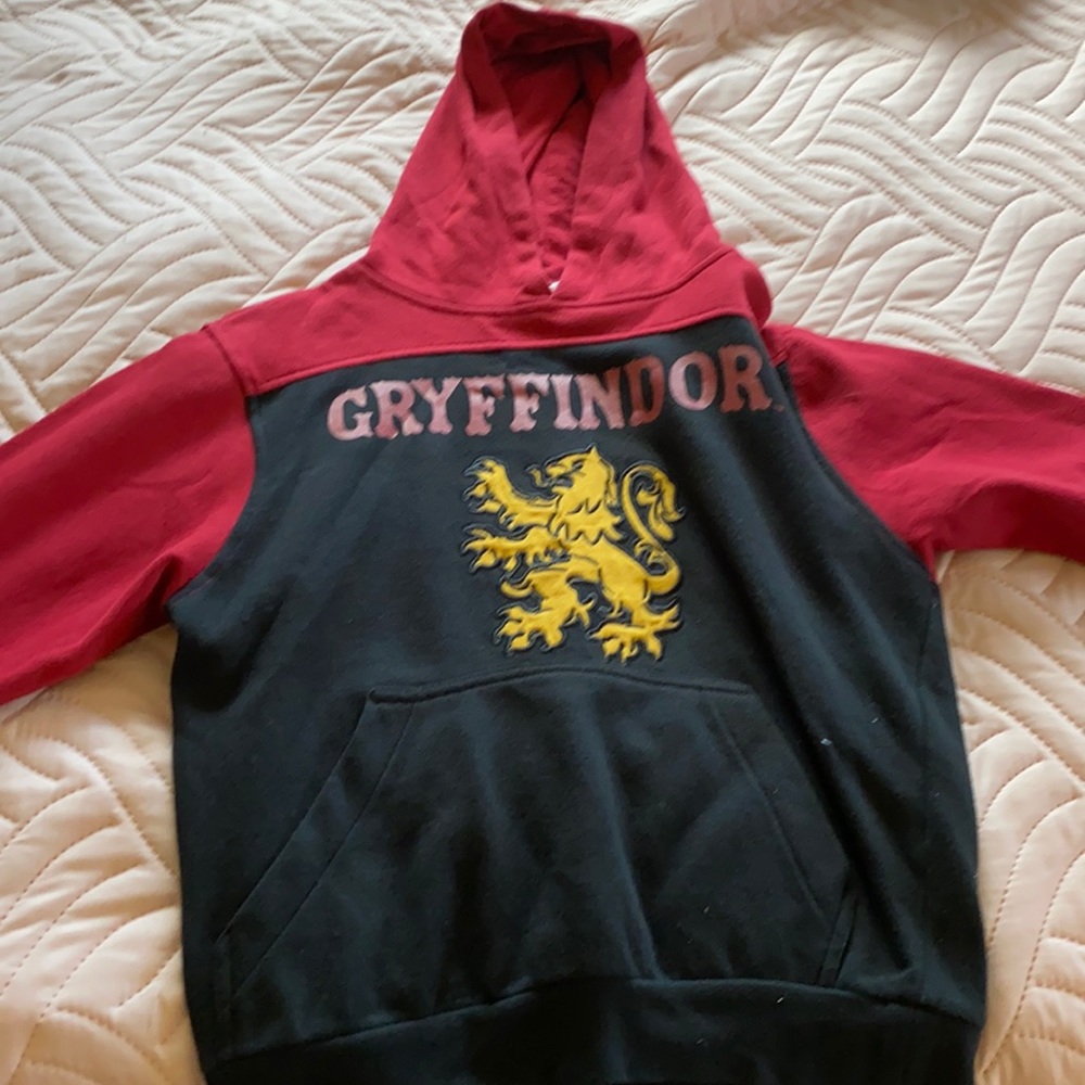 Kids Universal Studios Gryffindor Hoodie